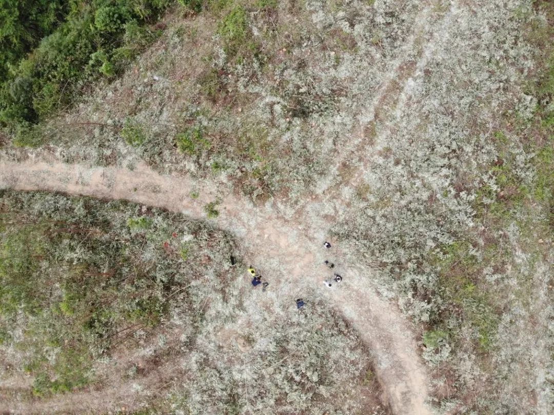 6264fa3e90471.jpg 640.jpg